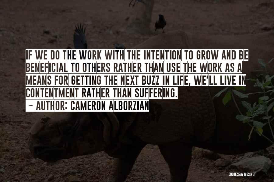 Contentment At Work Quotes By Cameron Alborzian