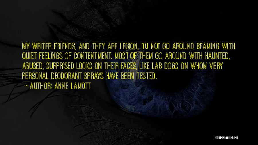 Contentment In Friends Quotes By Anne Lamott