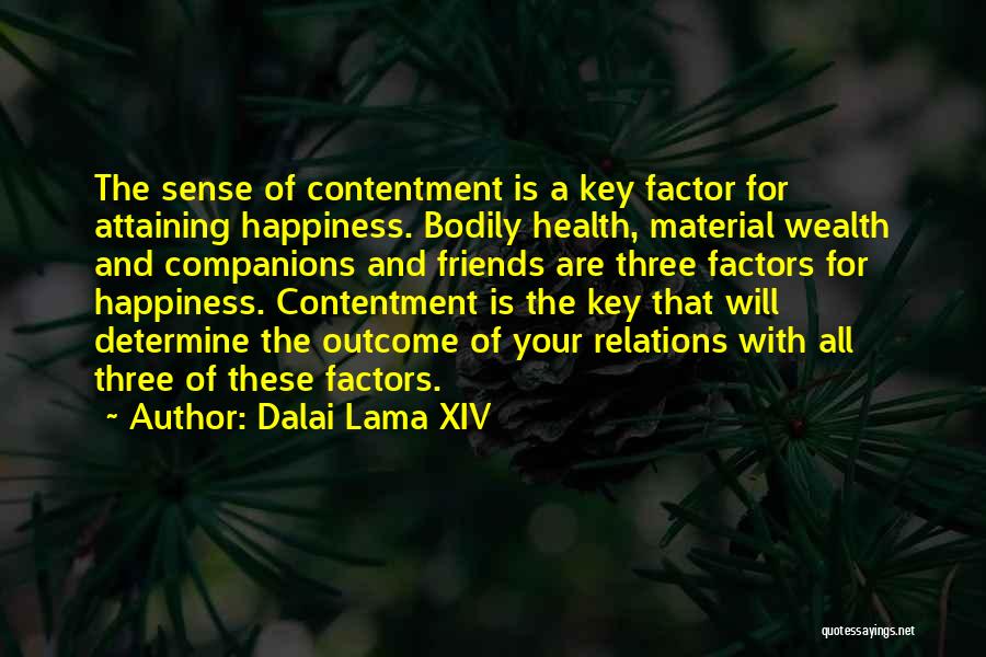 Contentment In Friends Quotes By Dalai Lama XIV