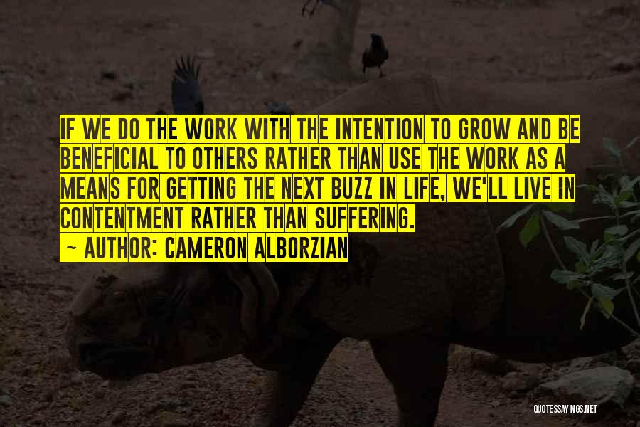 Contentment In Work Quotes By Cameron Alborzian
