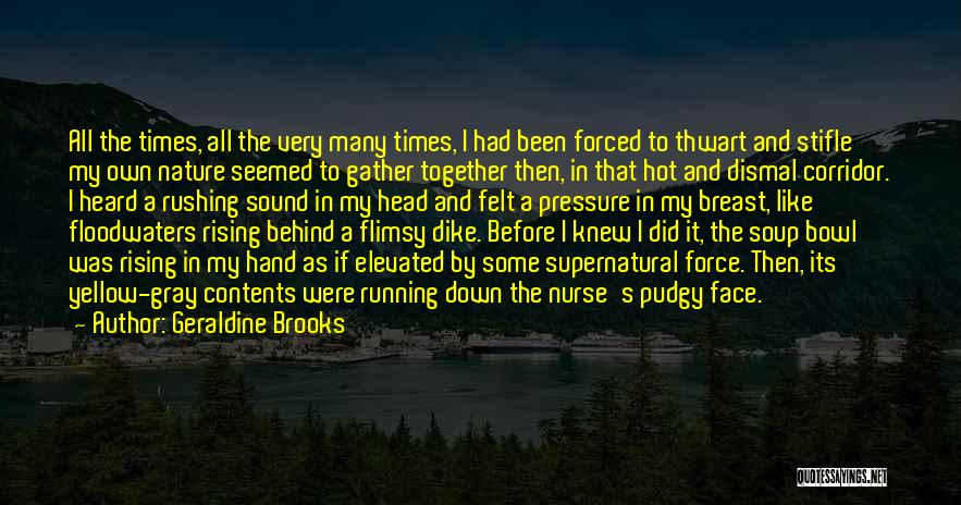 Contents Quotes By Geraldine Brooks