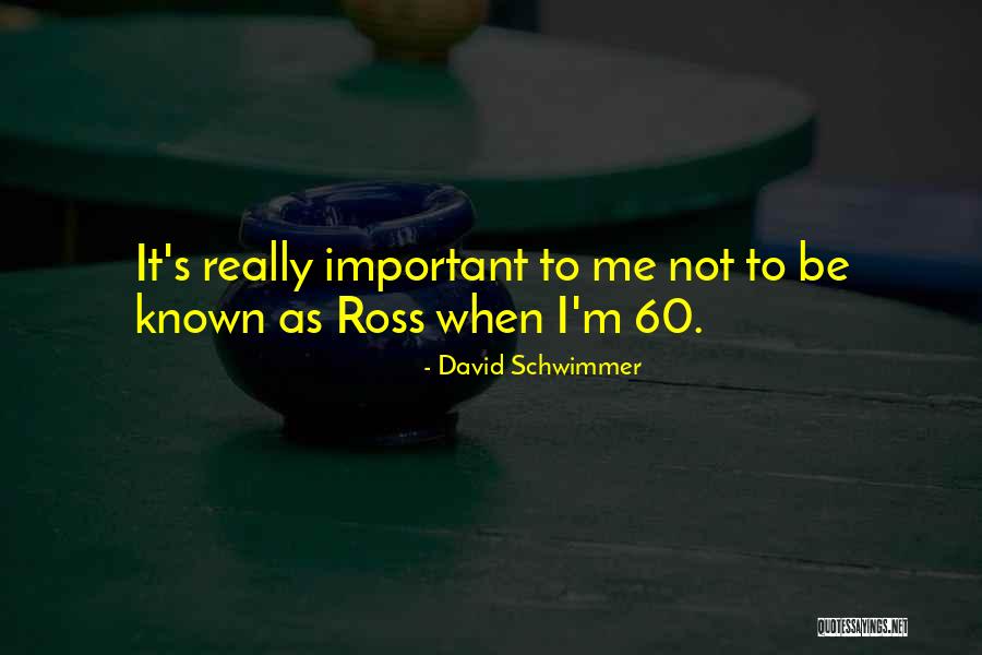 Contestations Amendes Quotes By David Schwimmer Contestations Amendes Quotes By David Schwimmer