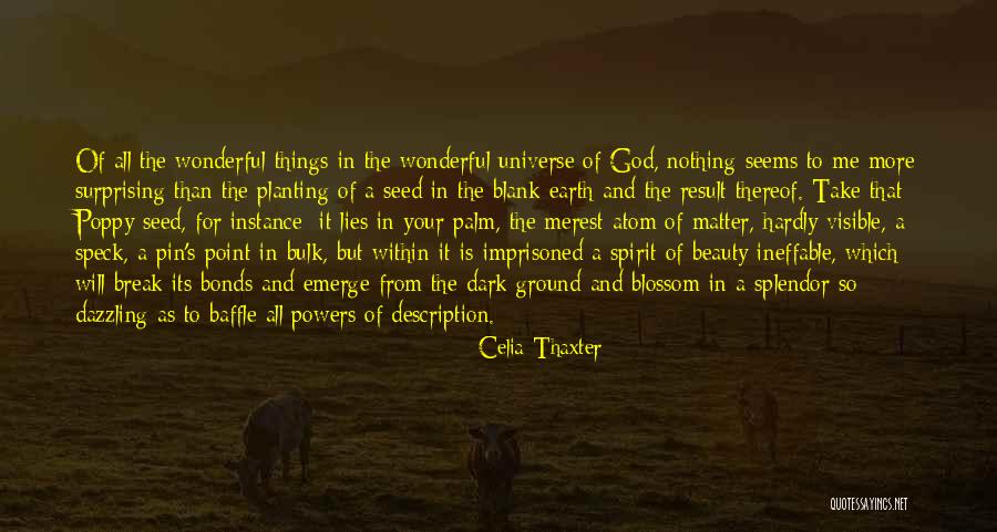 Context And Communication Quotes By Celia Thaxter Context And Communication Quotes By Celia Thaxter