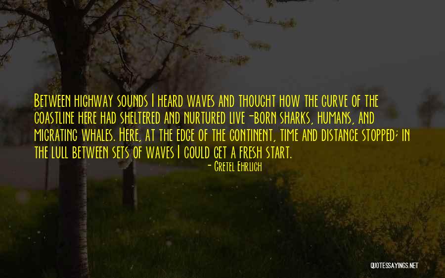 Continent Quotes By Gretel Ehrlich Continent Quotes By Gretel Ehrlich