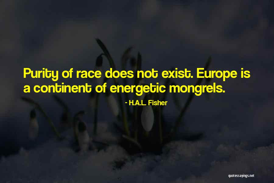 Continent Quotes By H.A.L. Fisher Continent Quotes By H.A.L. Fisher