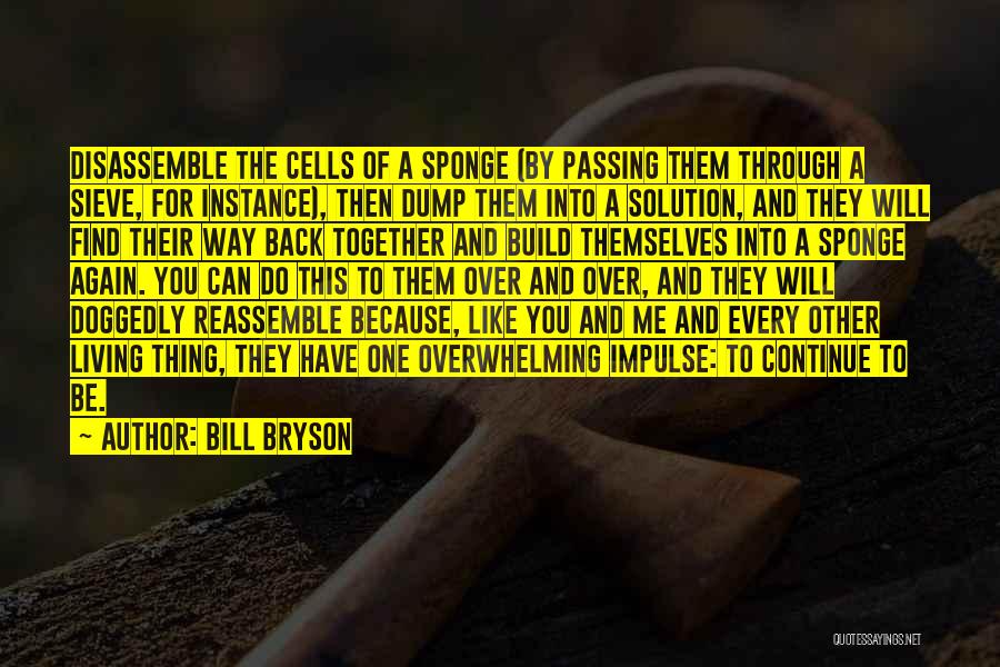 Continue To Build Quotes By Bill Bryson