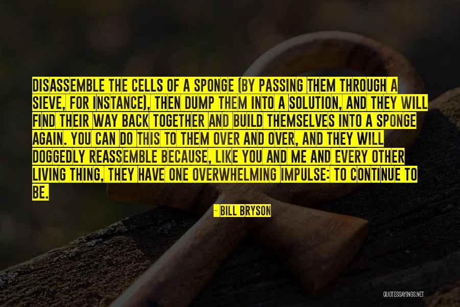 Continue To Build Quotes By Bill Bryson Continue To Build Quotes By Bill Bryson