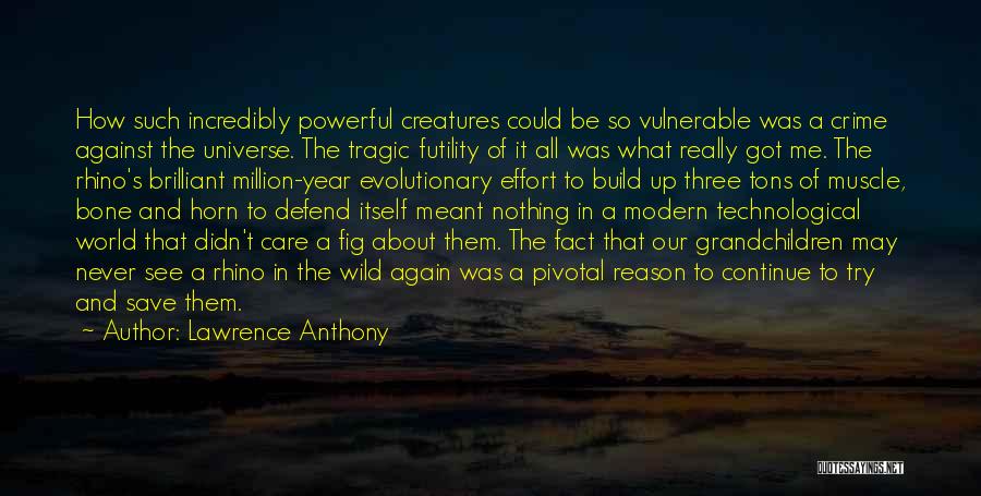 Continue To Build Quotes By Lawrence Anthony