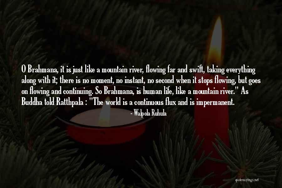 Continuing And Continuous Quotes By Walpola Ruhula Continuing And Continuous Quotes By Walpola Ruhula