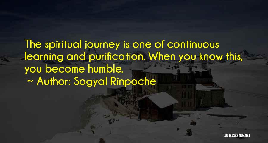 Continuous Learning Quotes By Sogyal Rinpoche