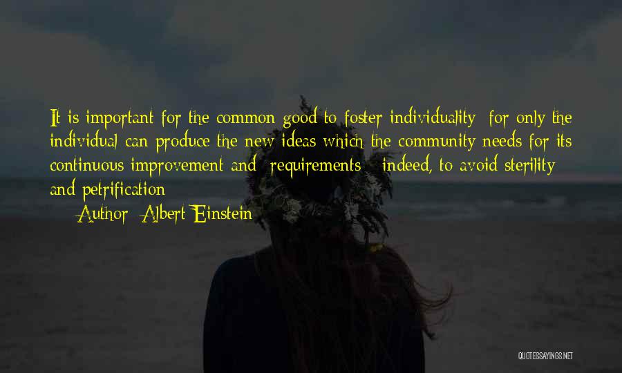 Continuous Self Improvement Quotes By Albert Einstein