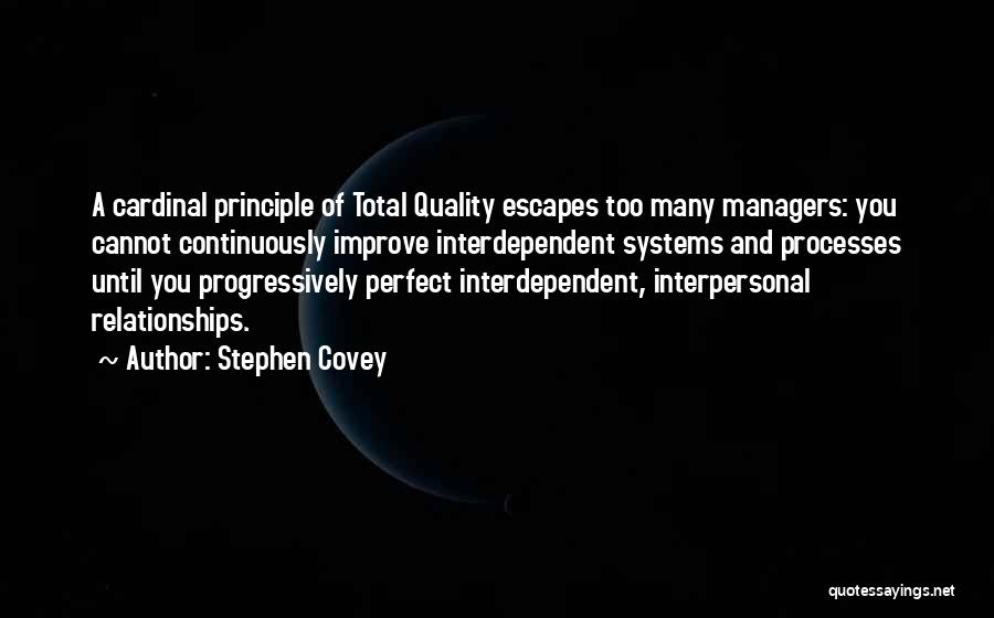 Continuously Improve Quotes By Stephen Covey