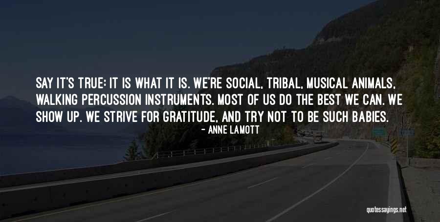 Contortionists Videos Quotes By Anne Lamott Contortionists Videos Quotes By Anne Lamott