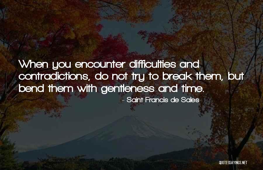 Contradictions Quotes By Saint Francis De Sales