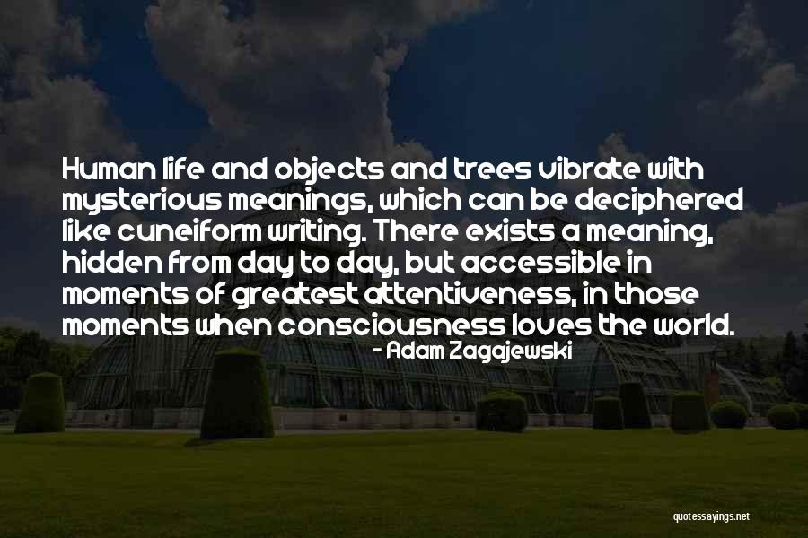 Contradictory In A Sentence Quotes By Adam Zagajewski Contradictory In A Sentence Quotes By Adam Zagajewski