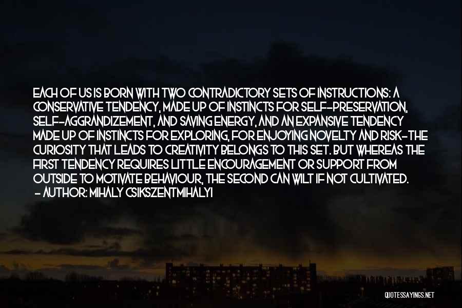 Contradictory Quotes By Mihaly Csikszentmihalyi