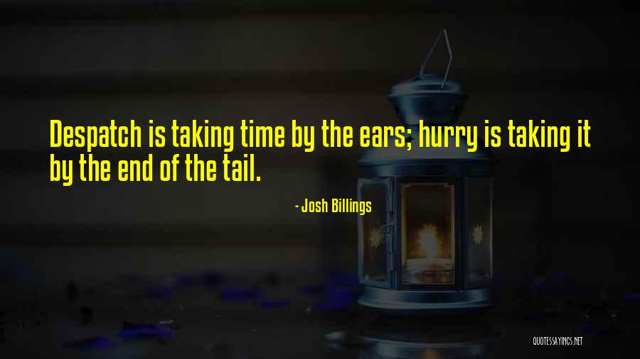 Contraente Significado Quotes By Josh Billings Contraente Significado Quotes By Josh Billings