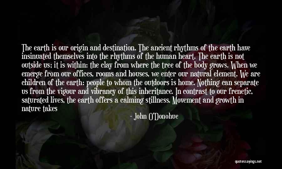 Contrast Quotes By John O'Donohue Contrast Quotes By John O'Donohue