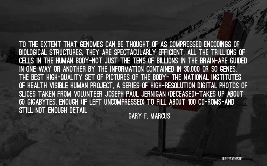 Contrast The Structures Quotes By Gary F. Marcus