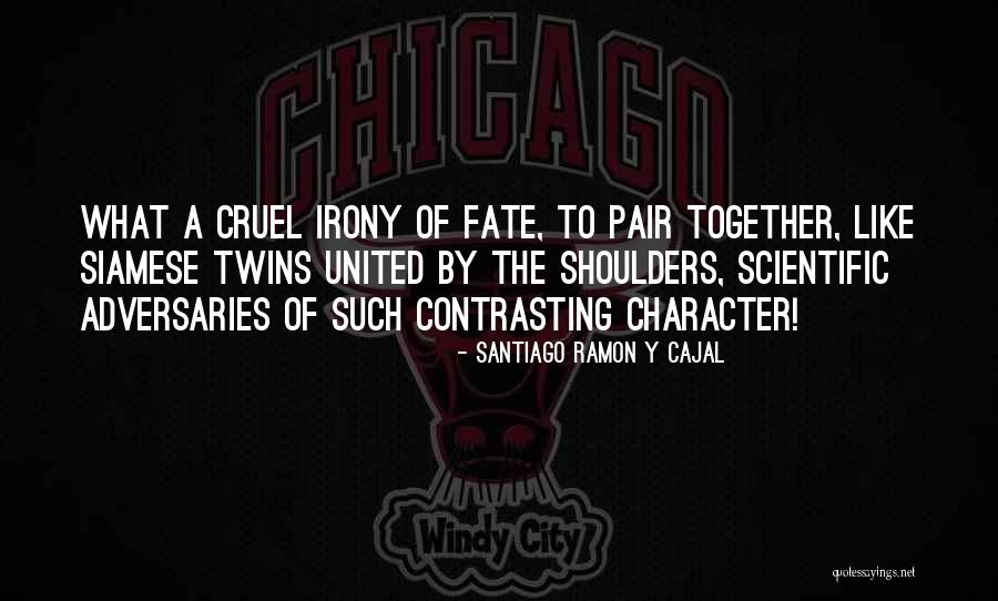 Contrasting Character Quotes By Santiago Ramon Y Cajal Contrasting Character Quotes By Santiago Ramon Y Cajal