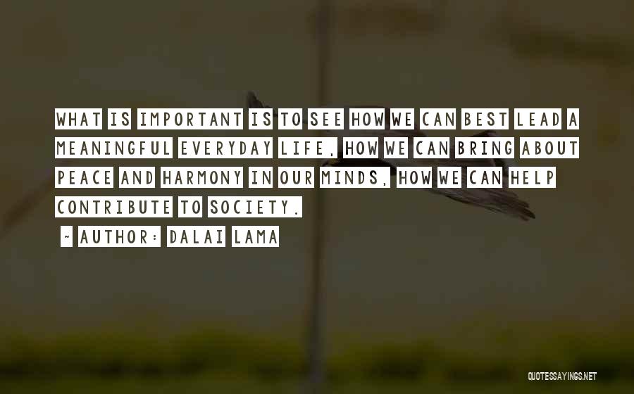 Contribute Society Quotes By Dalai Lama