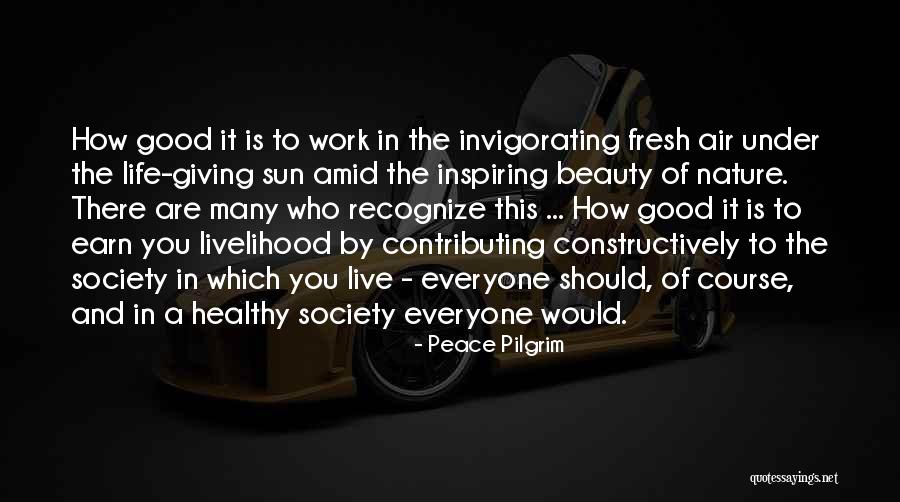 Contributing To Society Quotes By Peace Pilgrim Contributing To Society Quotes By Peace Pilgrim