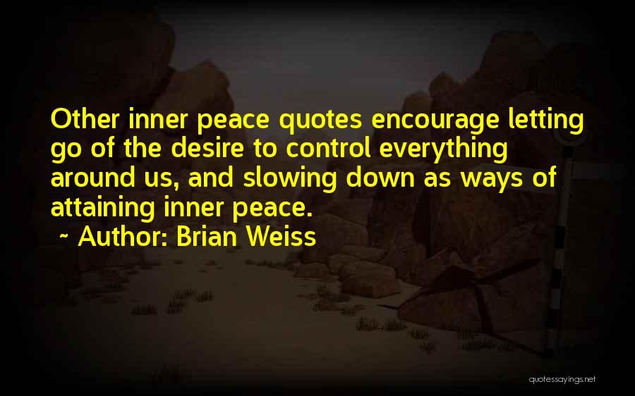 Control And Letting Go Quotes By Brian Weiss