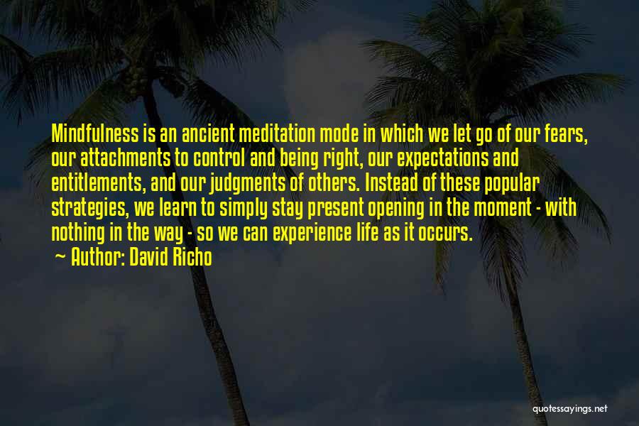 Control And Letting Go Quotes By David Richo