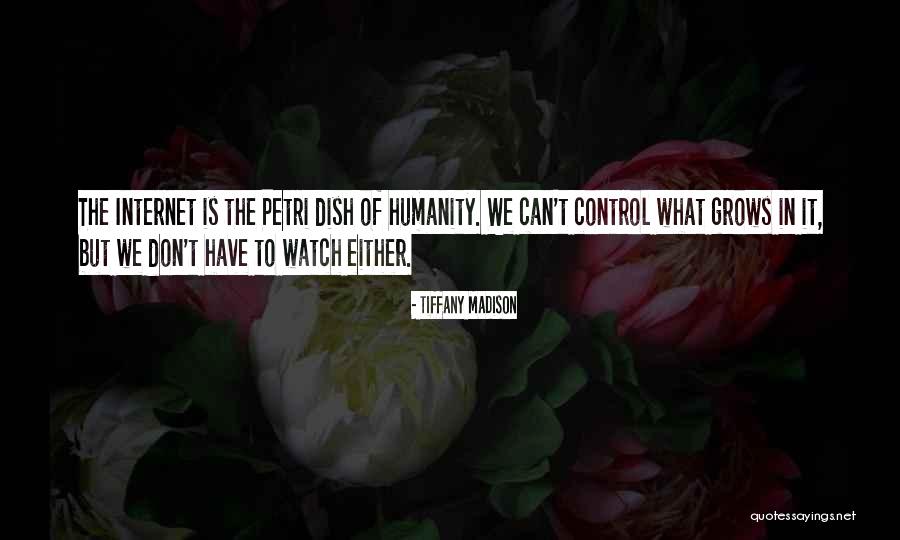 Control In Society Quotes By Tiffany Madison Control In Society Quotes By Tiffany Madison
