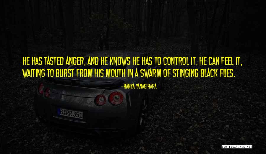 Control Over Anger Quotes By Hanya Yanagihara