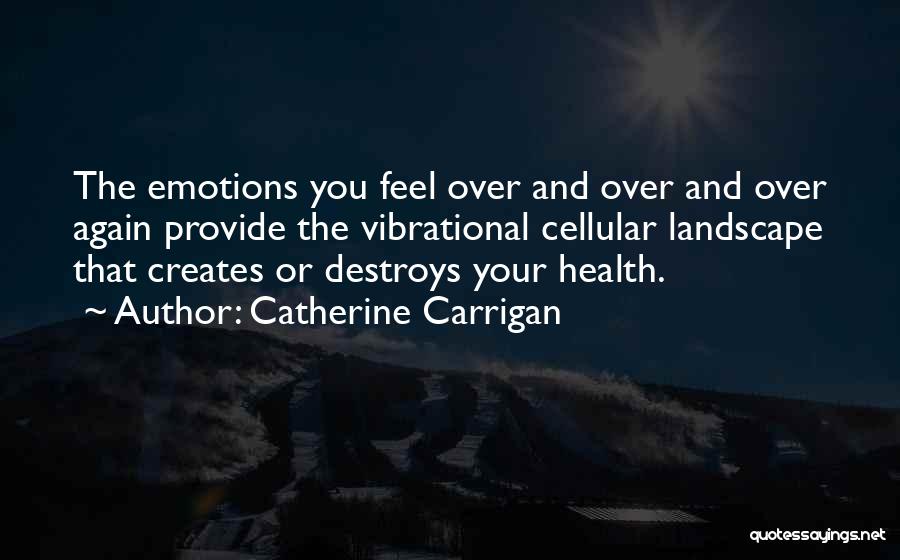 Control Over Emotions Quotes By Catherine Carrigan