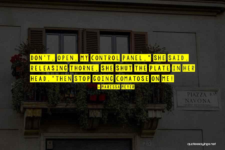 Control Panel Quotes By Marissa Meyer Control Panel Quotes By Marissa Meyer