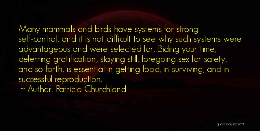 Control Systems Quotes By Patricia Churchland