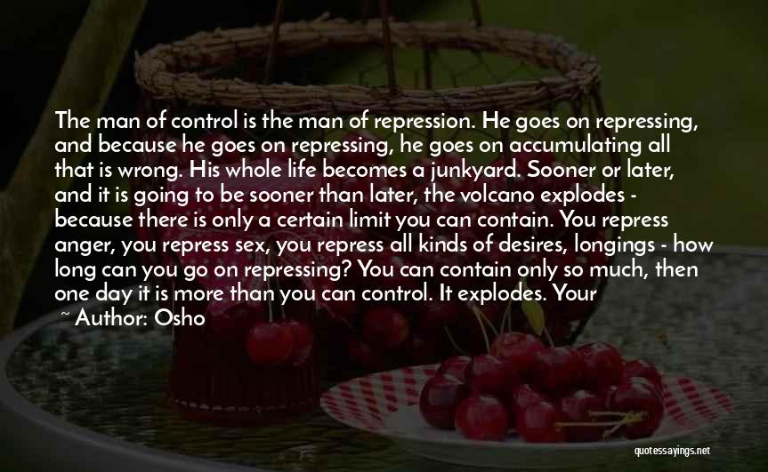 Control The Anger Quotes By Osho