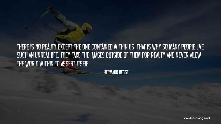 Control The Controllables Quotes By Hermann Hesse Control The Controllables Quotes By Hermann Hesse
