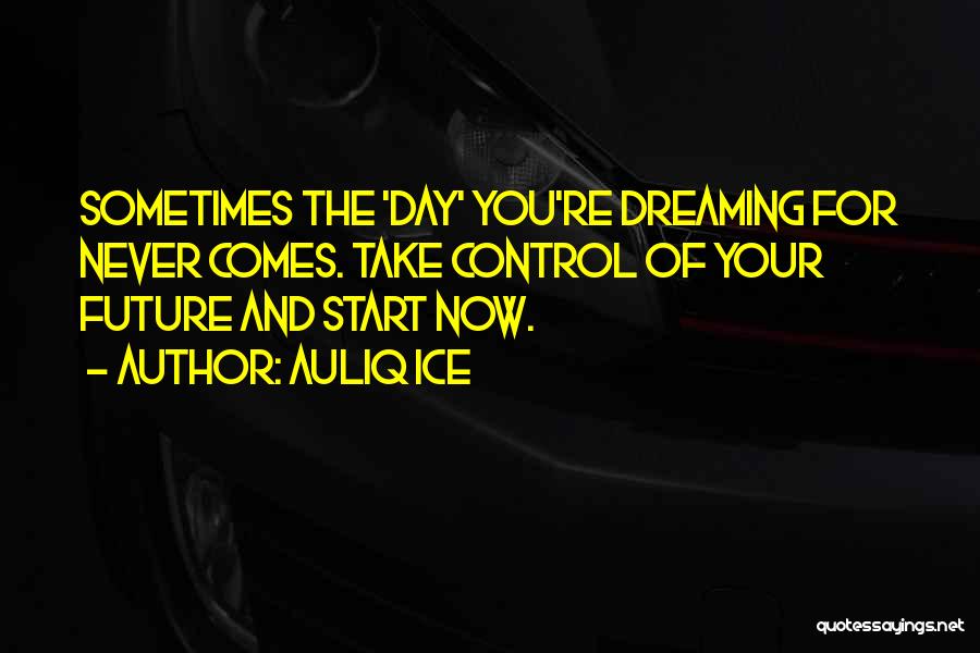 Control Your Future Quotes By Auliq Ice