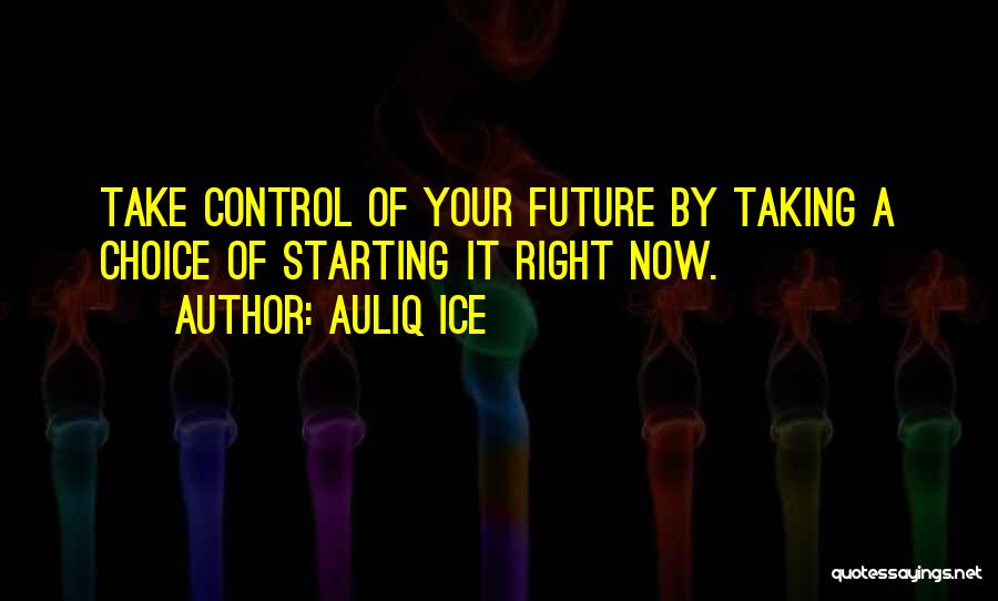 Control Your Future Quotes By Auliq Ice
