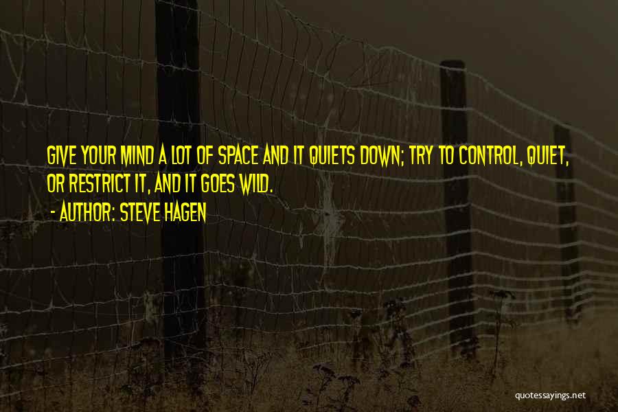 Control Your Mind Quotes By Steve Hagen