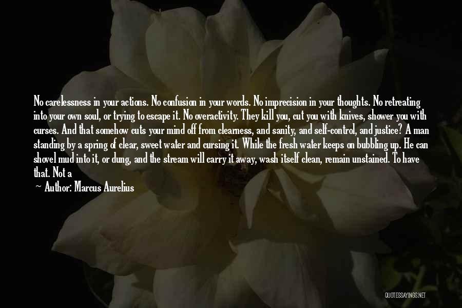 Control Your Words Quotes By Marcus Aurelius