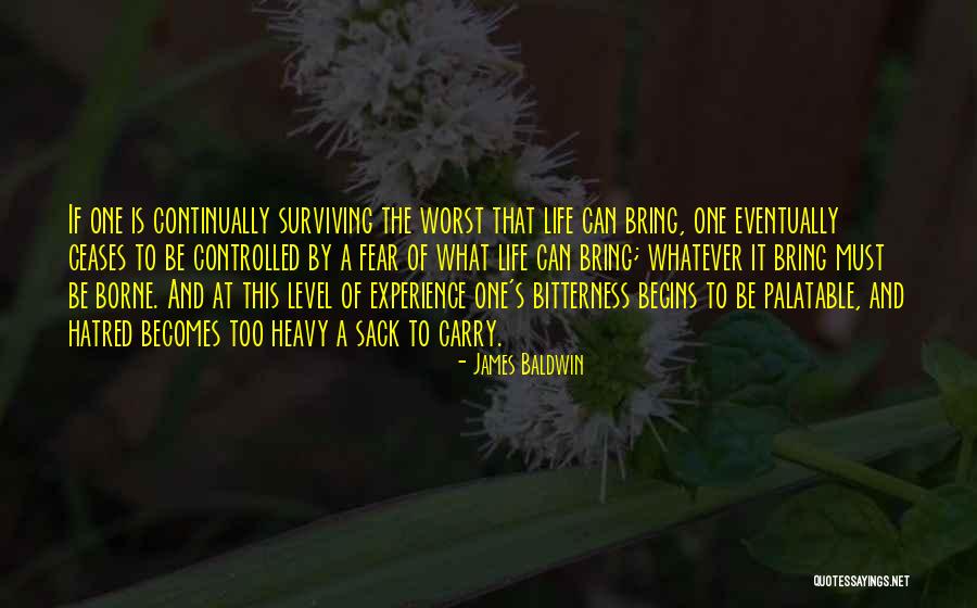 Controlled Life Quotes By James Baldwin Controlled Life Quotes By James Baldwin