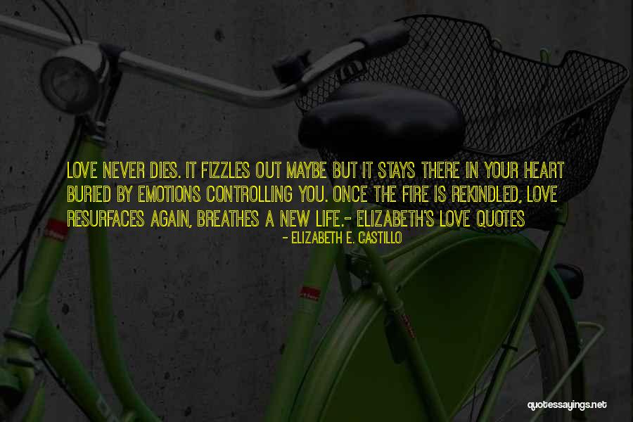 Controlling My Emotions Quotes By Elizabeth E. Castillo Controlling My Emotions Quotes By Elizabeth E. Castillo