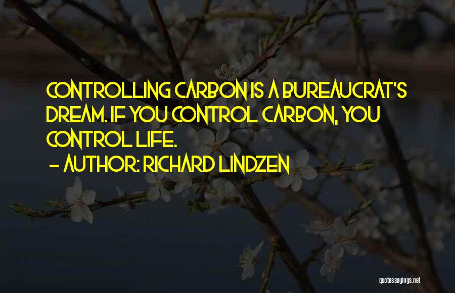 Controlling Own Life Quotes By Richard Lindzen