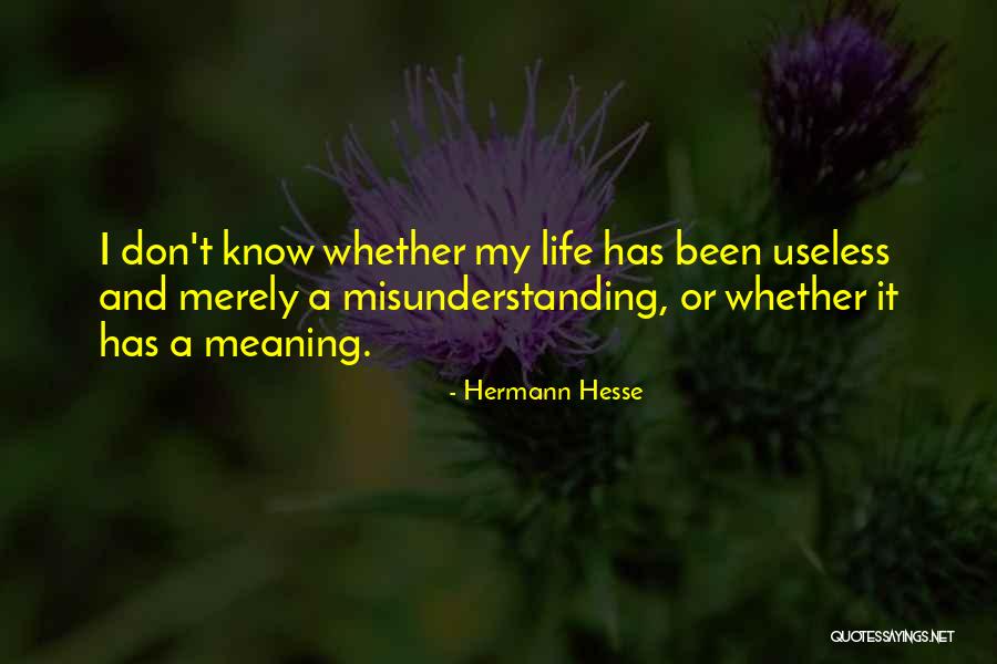 Contumelious Heat Quotes By Hermann Hesse Contumelious Heat Quotes By Hermann Hesse