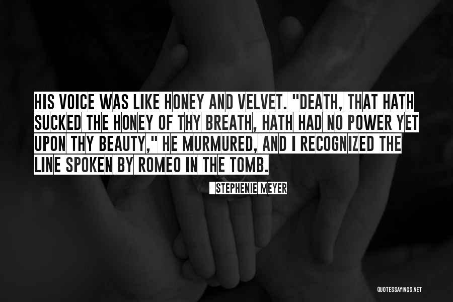 Contundencia Definicion Quotes By Stephenie Meyer Contundencia Definicion Quotes By Stephenie Meyer
