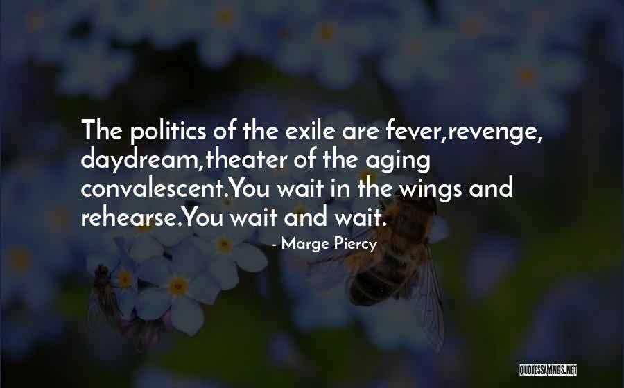 Convalescent Quotes By Marge Piercy