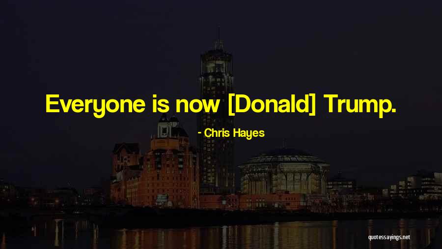 Convalescente Significado Quotes By Chris Hayes Convalescente Significado Quotes By Chris Hayes