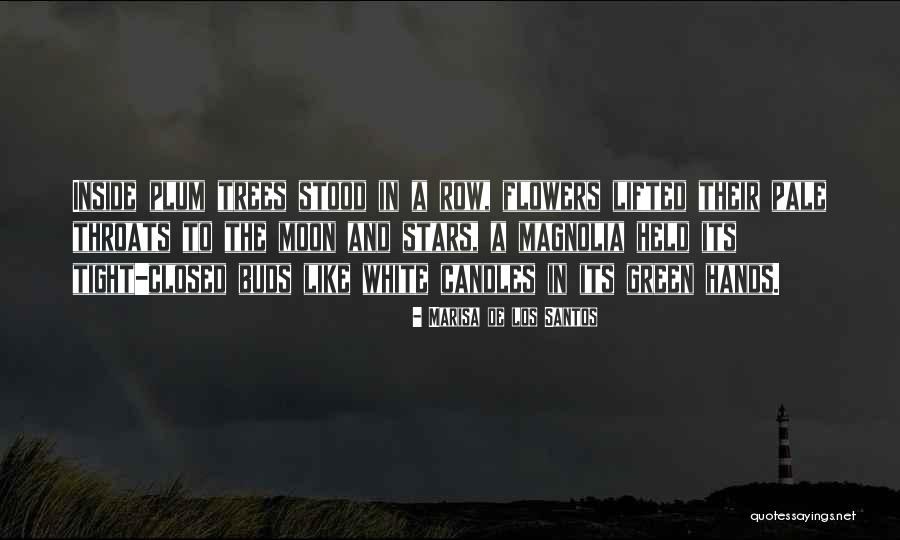 Convenablement D Finition Quotes By Marisa De Los Santos Convenablement D Finition Quotes By Marisa De Los Santos