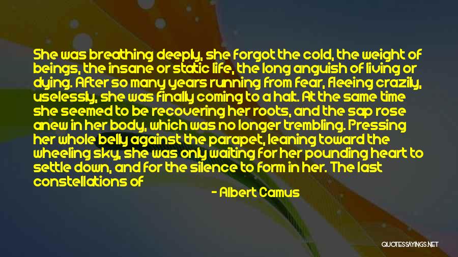 Convene Quotes By Albert Camus