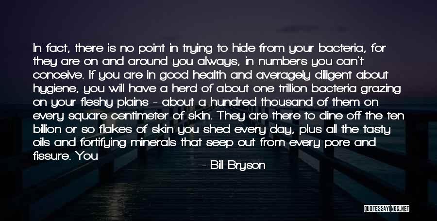 Convenience Quotes By Bill Bryson Convenience Quotes By Bill Bryson