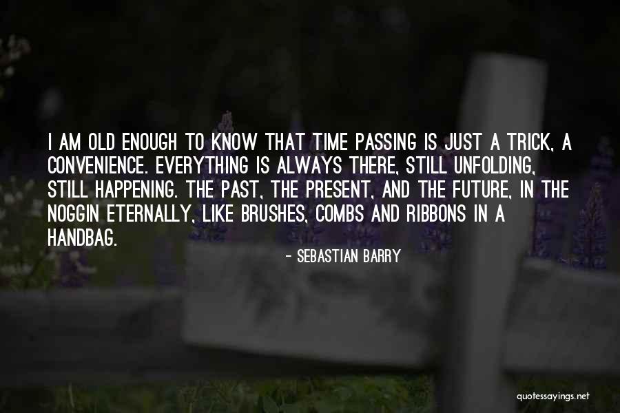 Convenience Quotes By Sebastian Barry Convenience Quotes By Sebastian Barry